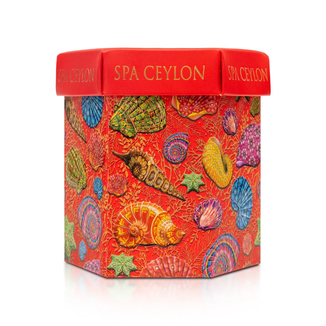Undersea Paradise - Pampering Stack Duo - Image 5